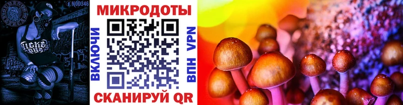 Псилоцибиновые грибы Cubensis  где купить наркоту  Сясьстрой 