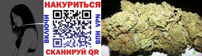 купить закладку  Сясьстрой  МАРИХУАНА OG Kush 